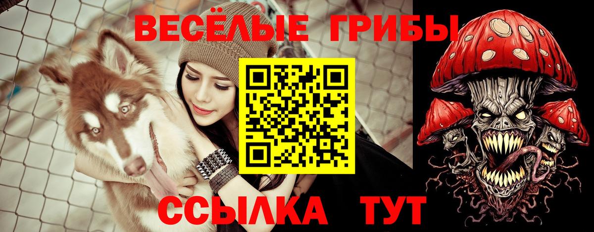 Псилоцибиновые грибы Cubensis Красноармейск